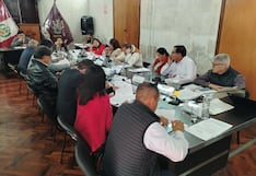 Comisión Ad-Hoc para investigar a exgerente de Elmer Cáceres Llica