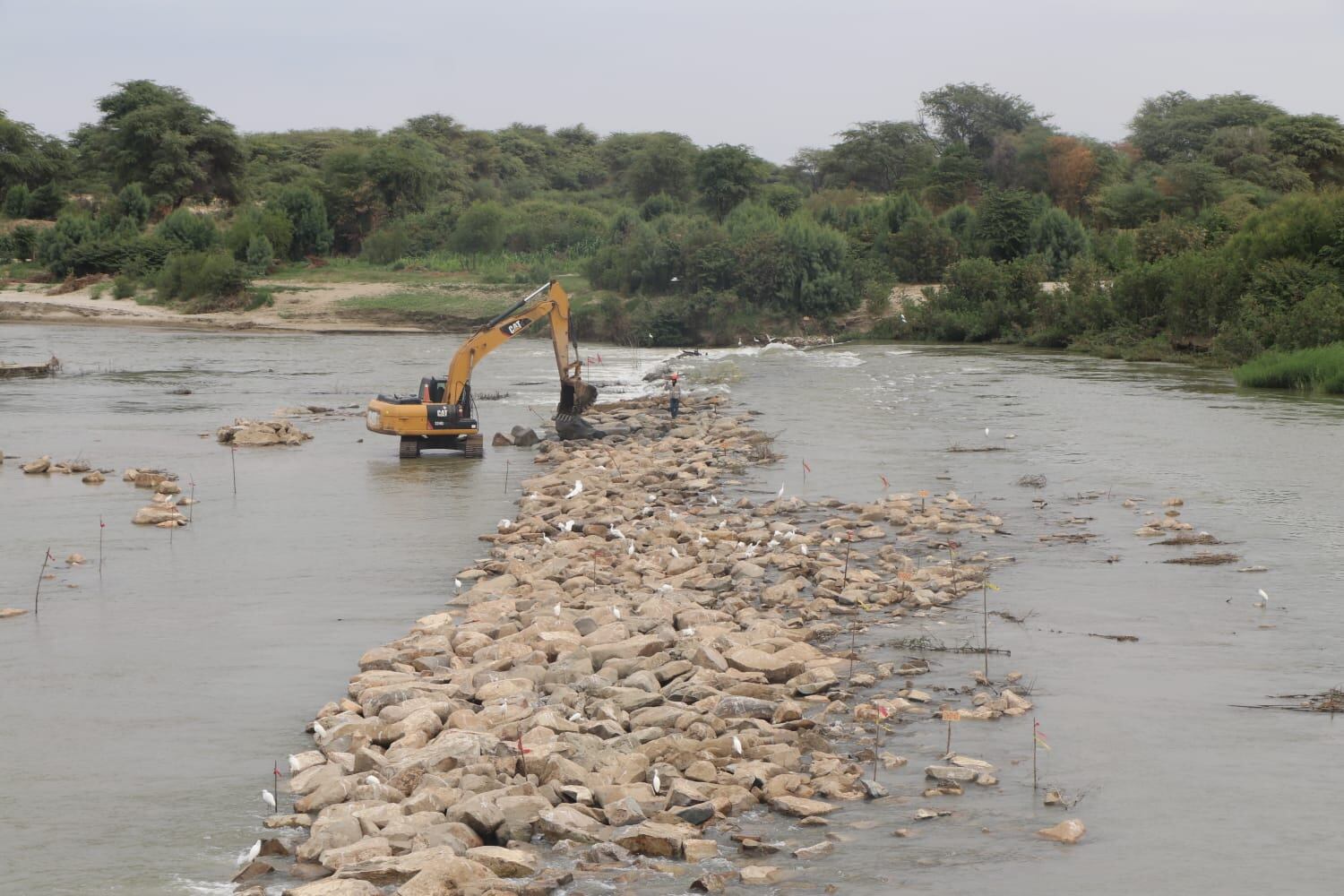 Avanzan trabajos en alcantarilla 1308 del Medio y Bajo Piura