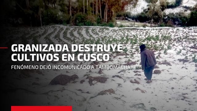 Lluvias y granizo afectan cultivos de comuneros en Tambomachay - Cusco