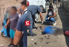 Ica: Detienen a hombre por presunta masacre de perros para comercializar su carne en tamales y embutidos