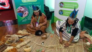 Ciudadanos pueden ingresar gratis al MALI todos los jueves