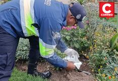 Huancayo: Mujer acuchilla al amigo de su esposo en su centro de labores