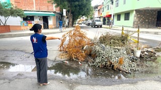 Piura: Defensoría exige atención urgente ante peligroso forado en la avenida Sullana