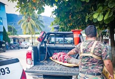 Satipo: Joven sale de caza y lo hallan muerto por un disparo