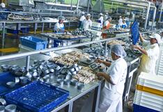 Produce capacita a operadores de la cadena productiva pesquera y acuícola