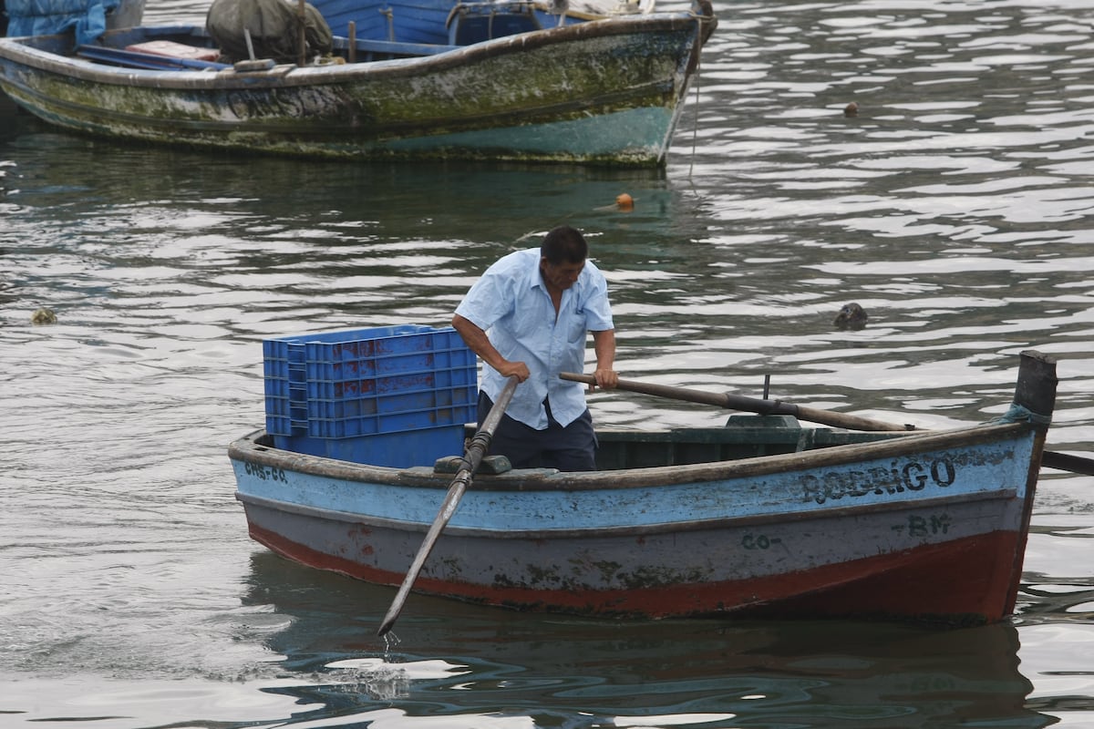 El aumento de la temperatura del Pacífico oriental está modificando la distribución de especies y reduciendo las capturas de pescadores artesanales de Perú, Ecuador, Panamá y Guatemala. En el mar peruano, las autoridades mantienen la alerta por El Niño Costero. (Foto: GEC)