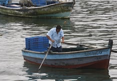 El Niño golpea la pesca en Perú y otros países: especies migran por calentamiento del océano