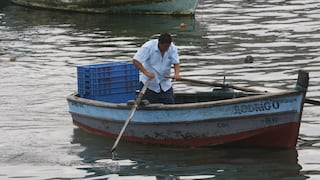 El Niño golpea la pesca en Perú y otros países: especies migran por calentamiento del océano