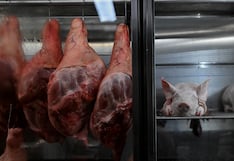 Argentina come cada vez menos carne: el asado pierde centralidad y mira a la exportación