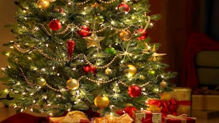Navidad 2014: ¿Por qué ponemos un árbol decorado en casa?