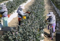 Mincetur: Prohibirán importación de productos elaborados mediante trabajo forzoso