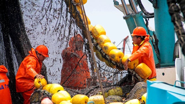 Segunda temporada de pesca de anchoveta registra 72% de avance