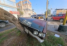 Trujillo: Conductor estrella su auto contra un árbol