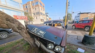 Trujillo: Conductor estrella su auto contra un árbol