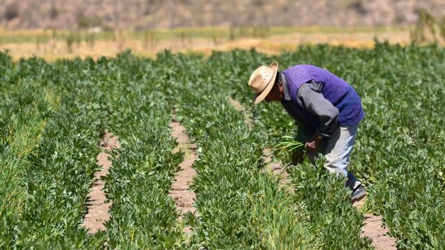 Dos hombres vuelven de trabajar en la chacra y caen a barranco en Huancavelica