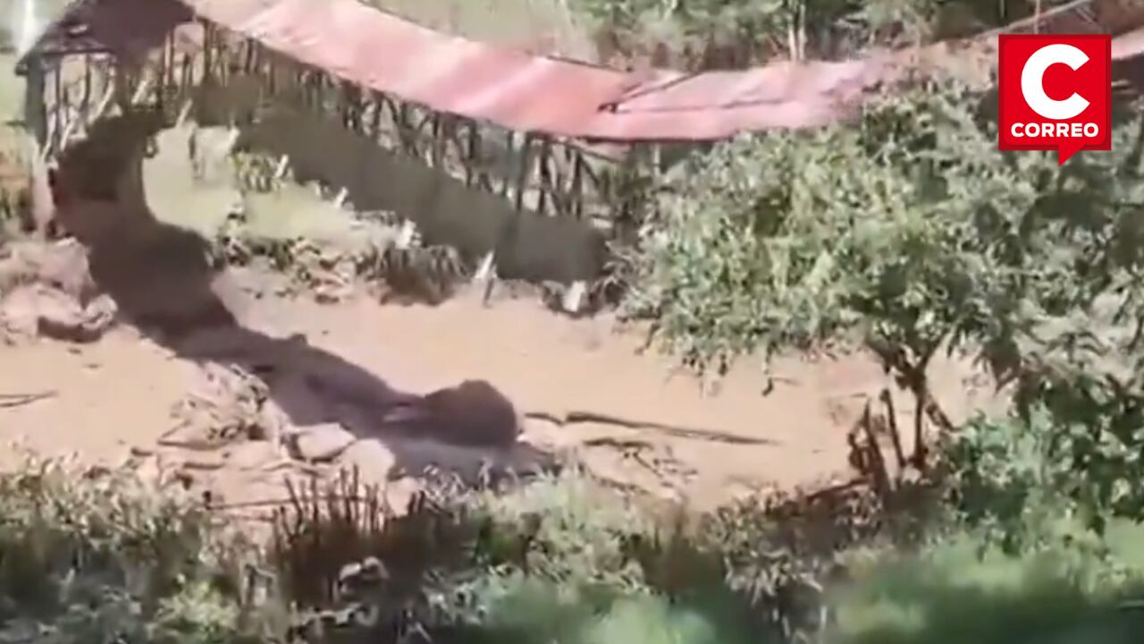 (Foto: Captura/Canal N)