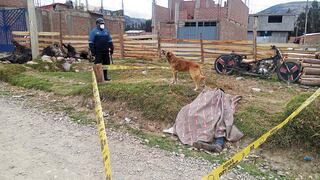 “Yuyo”, el perro que se quedó cuidando el cadáver de su dueño durante varias horas, en Huancayo (FOTOS)