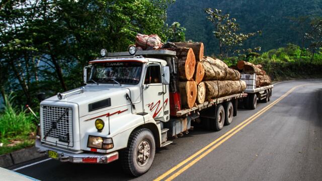 Hasta 5 mil UIT de multa por trasladar madera de tala ilegal y decomisan más de 67 mil pies tablares en Junín 