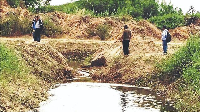 Irregularidades en la descolmatación de drenes en la provincia de Sechura 