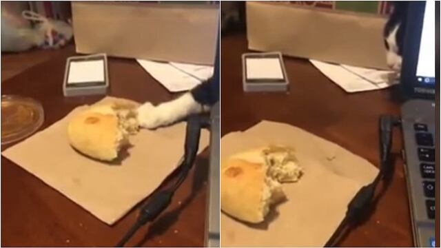 Facebook: astuto "robo" de pan realizado por gato se vuelve viral (VIDEO)