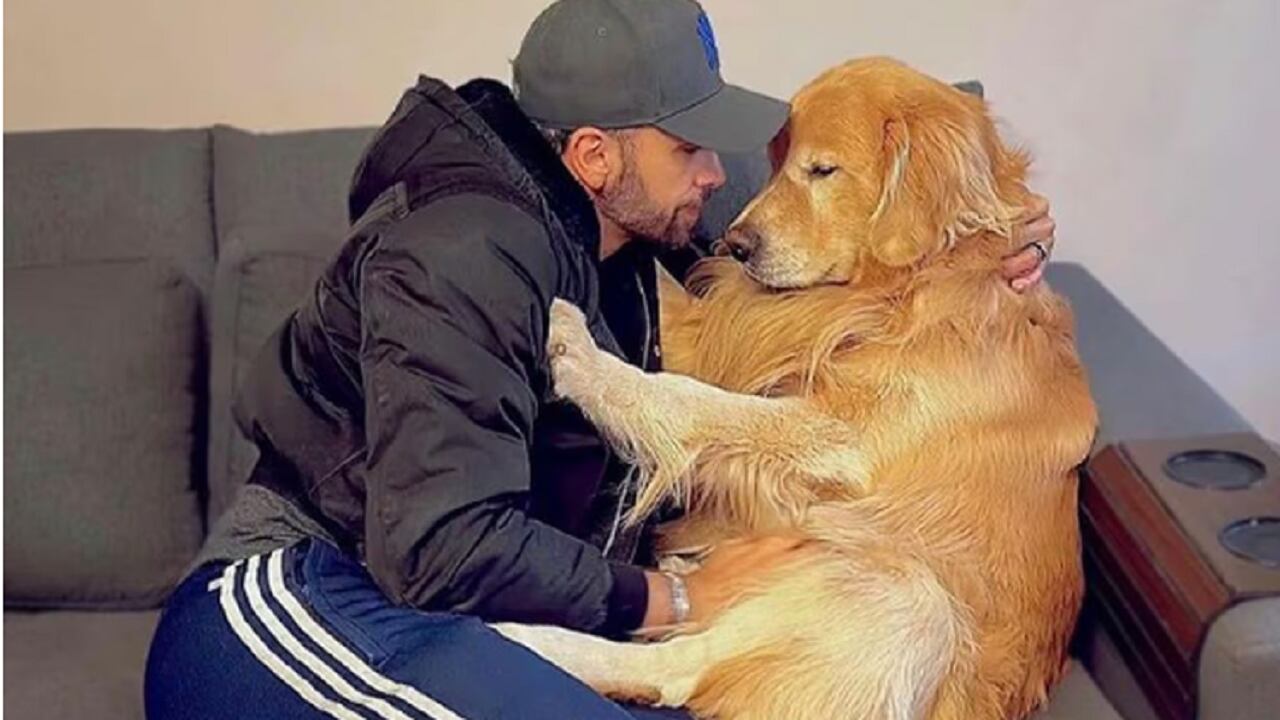 Instagram: jfantazzini