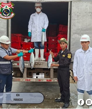 Pisco: decomisan más de dos toneladas de recursos hidrobiológicos por 71 mil soles