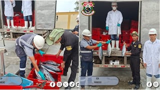 Pisco: decomisan más de dos toneladas de recursos hidrobiológicos por 71 mil soles