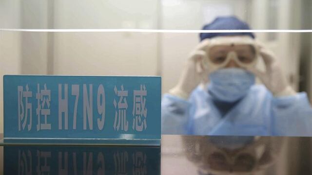 China: Aumentan a diez los muertos por gripe aviar