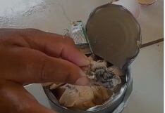 Piura: Madres denuncian que conservas de pollo estarían en mal estado