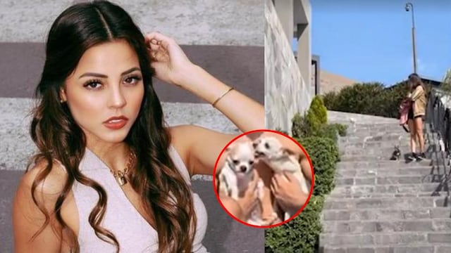 Luciana Fuster intenta jugar con chihuahuas pero ellos la atacan: “No se confíen” (VIDEO)