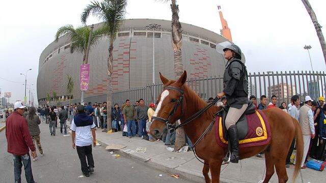 Caballo de la Policía Montada murió rumbo al Estadio Nacional