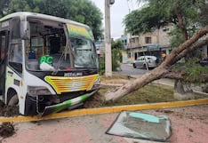 Trujillo: Ocho heridos tras aparatoso choque de un micro contra un árbol