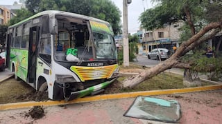 Trujillo: Ocho heridos tras aparatoso choque de un micro contra un árbol