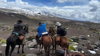 Arequipa: Historia de un peregrinaje a caballo hasta el Santuario de Chapi
