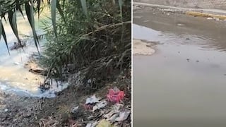 Ica: colapso de desagüe en La Tinguiña continúa contaminando el cauce de La Achirana