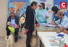 Huancayo: Más de 60 perros y gatos fueron esterilizados en Chilca