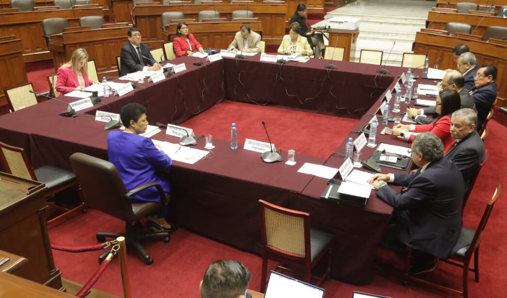 Sesión de la Comisión de Constitución EN VIVO. (Foto: Congreso)