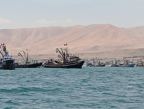 Tacna: Pescadores denuncian presencia de naves “vikingas” pese a cierre de puertos