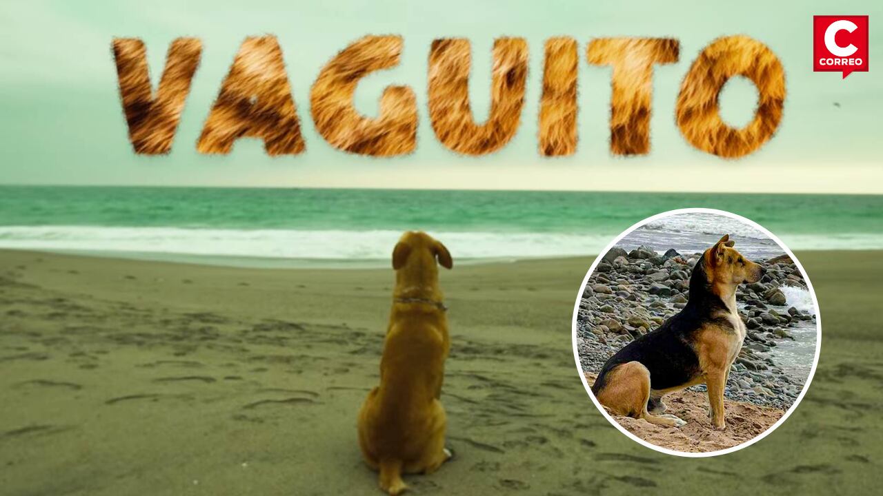 La película 'Vaguito' es un éxito en las sala de cine.