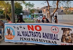 Ica: vecinos de Fonavi San Martín en Ica protestan tras envenenamiento de mascotas