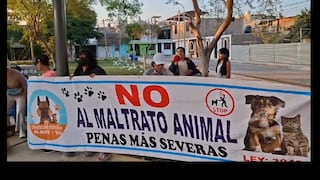 Ica: vecinos de Fonavi San Martín en Ica protestan tras envenenamiento de mascotas