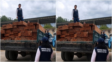 Fiscalía en Materia Ambiental logra condena por tráfico ilegal de madera