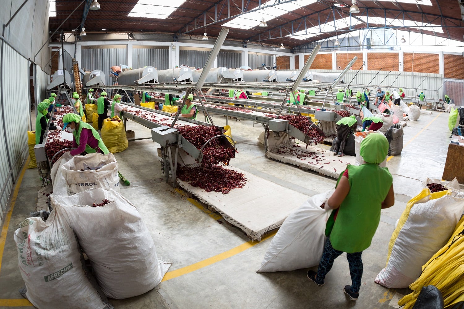 Adex pide apoyo para pequeños productores