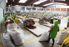 Piura: Adex pide apoyo para los pequeños productores