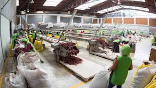 Piura: Adex pide apoyo para los pequeños productores