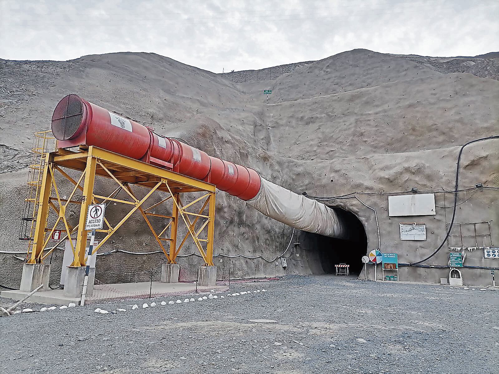 Funcionarios del Ministerio de Agricultura revisan desde ayer las alternativas que ingresaron Países Bajos y Canadá. En un mes se conocerá al ganador.