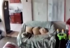 “Amor, no te vayas”: el abrazo de una pareja de ancianos durante el terremoto conmueve las redes