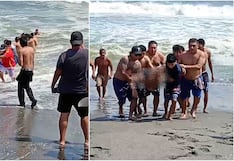 Chincha: bañistas se unen para salvar a joven atrapado en la corriente marina
