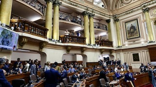 Indira Huilca plantea que diputados prioricen la asistencia presencial en sus sesiones
