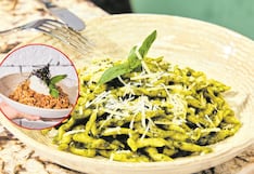 Apuestas gastronómicas que no te puedes perder